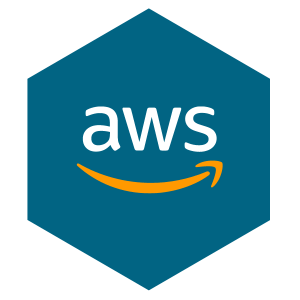 AWS Professional